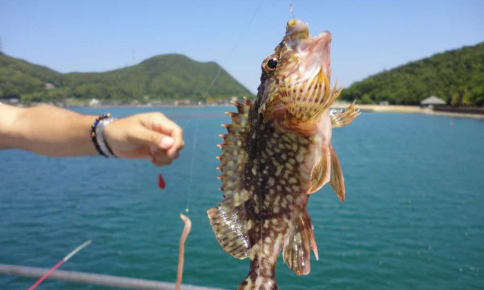 沖縄釣りツアー